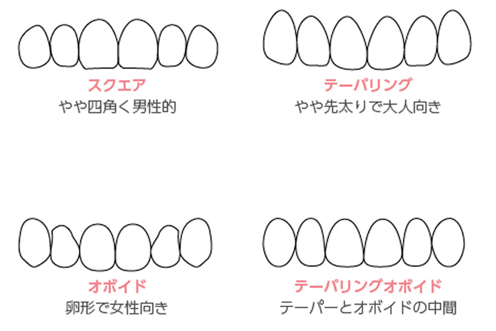 歯の形態